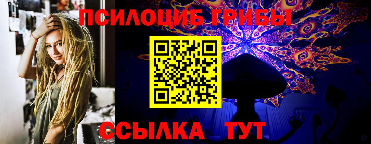 Псилоцибиновые грибы прущие грибы  Псилоцибиновые грибы прущие грибы  наркотики  Вход с VPN  Котовск 